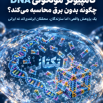 کامپیوتر مولکولی DNA؛ 5 نکته درباره محاسبه بدون برق